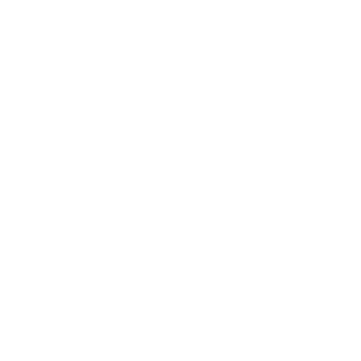 X Dragon Egypt